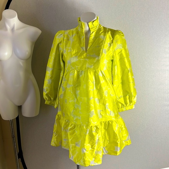 Tuckernuck Citron Fil Coupe Palmerston Dress Sizes various NWT - Picture 2 of 7